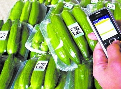 探索“掃碼觀菜、冷鏈出菜”新模式 讓農產品更安全直達餐桌