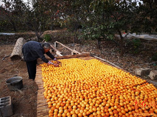 沂蒙老區旅游扶貧結碩果,農產品變身旅游商品